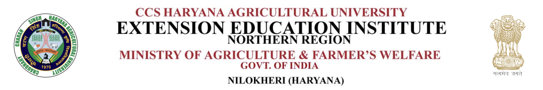 The Extension Education Institute